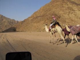07op de woestijntrack halen we kamelen in.jpg
