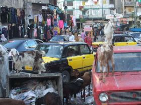 14 leuke foto van saskia op een kruispunt in Alexandrië.jpg