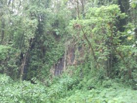 15 een blik in het regenwoud nabij Butare.jpg
