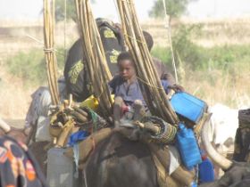 26 moeders en kleintjes mogen op de buffel reizen, die stokken zijn van hun tenten.jpg