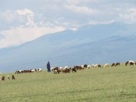 2 27 ook vee mag grazen zolang ze maar Masai zijn.jpg