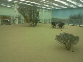 12 de woestijn, maar dan nu in de dierentuin in Sharjah, Emiraten.jpg