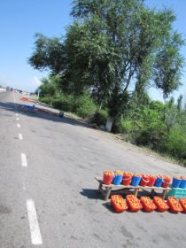 14 op de snelweg, ook daar verkopen ze fruit.jpg