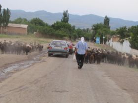 15 op weg naar de grens met Kazachstan.jpg