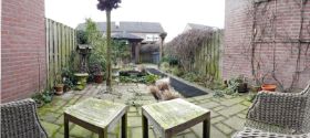 tuin 2 190211.jpg