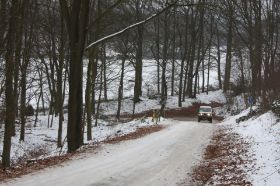 IMG_7049.JPG