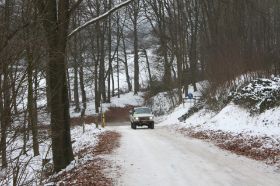 IMG_7056.JPG
