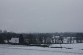 IMG_7059.JPG