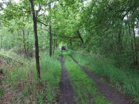 DSCF5951.JPG