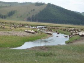 mongolie2010022.jpg