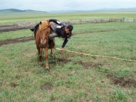 mongolie2010027.jpg