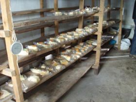 mongolie2010048.jpg