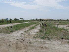 24 Hier krijgt de Oezbeek zijn rijles, let op borden pas op tunnel, pas op zebrapad Beide zijn we niet in Oezbekistan tegengekomen in het echt.jpg