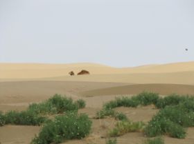 21 uitzicht op Karakoem.jpg