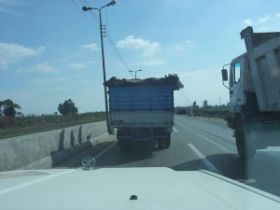 15 de wagen volgeladen met koe.jpg