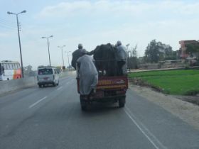 15 gezellig met je koe uit op de snelweg.jpg