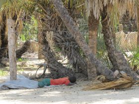 31 in afrika komen we overal en altijd slapende mensen tegen, niet alleen tijdens hun nachtdienst.jpg