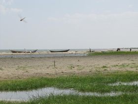 31 ons uitzicht vanuit de tent op lake turkana, met flamengo's libellen vogels en grazende koeien, heerlijk dus.jpg