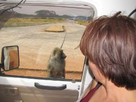 5 here we arrived at planet of the apes in the future.jpg