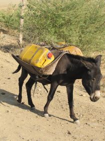 12 de plastiek jerrycan bracht Afrika een revolutie, geen water meer in het aardewerk.jpg