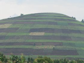 15 het land wordt goed benut in oeganda, hier zo'n geschoren berg.jpg