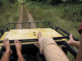 5 325 en zo rijden we verder zonder slippers aan bovenop de auto op zoek naar nog meer waanzinig wild.jpg