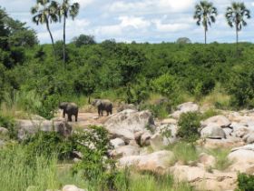 5 325 hoe ruaha eruit ziet.jpg
