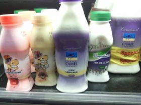 10 kamelen melk, maar dan wel mooi verpakt.jpg
