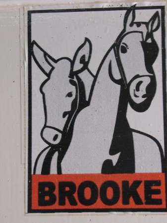 goed werk wordt gedaan door dit paarden en ezel dieren ziekenhuis goed werk wordt gedaan door dit paarden en ezel dieren ziekenhuis