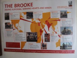 Brooke overal in de wereld Brooke overal in de wereld