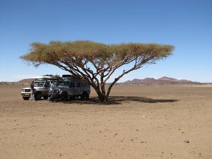 wow, this is Africa wow, this is Africa